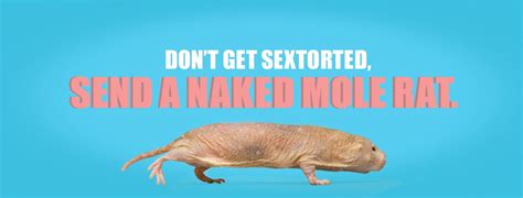 Send naked mole rat memes instead of nude photos,。